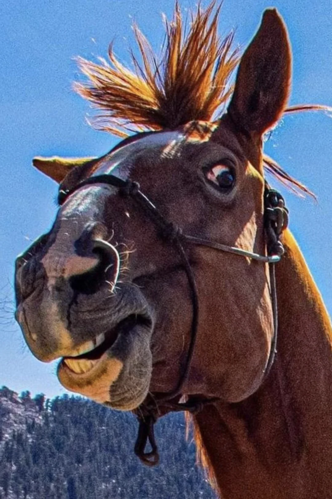 Photo of Spanky Wagyu